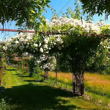 Mas Del Lum Boussac (Lot)