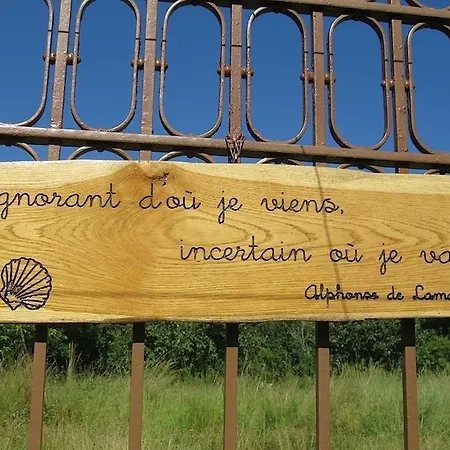 Mas Del Lum