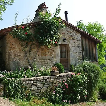 Mas Del Lum
