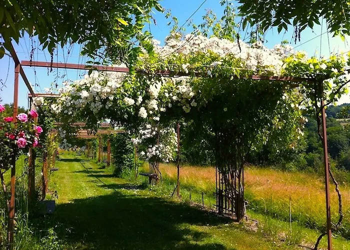 Mas Del Lum Boussac (Lot)